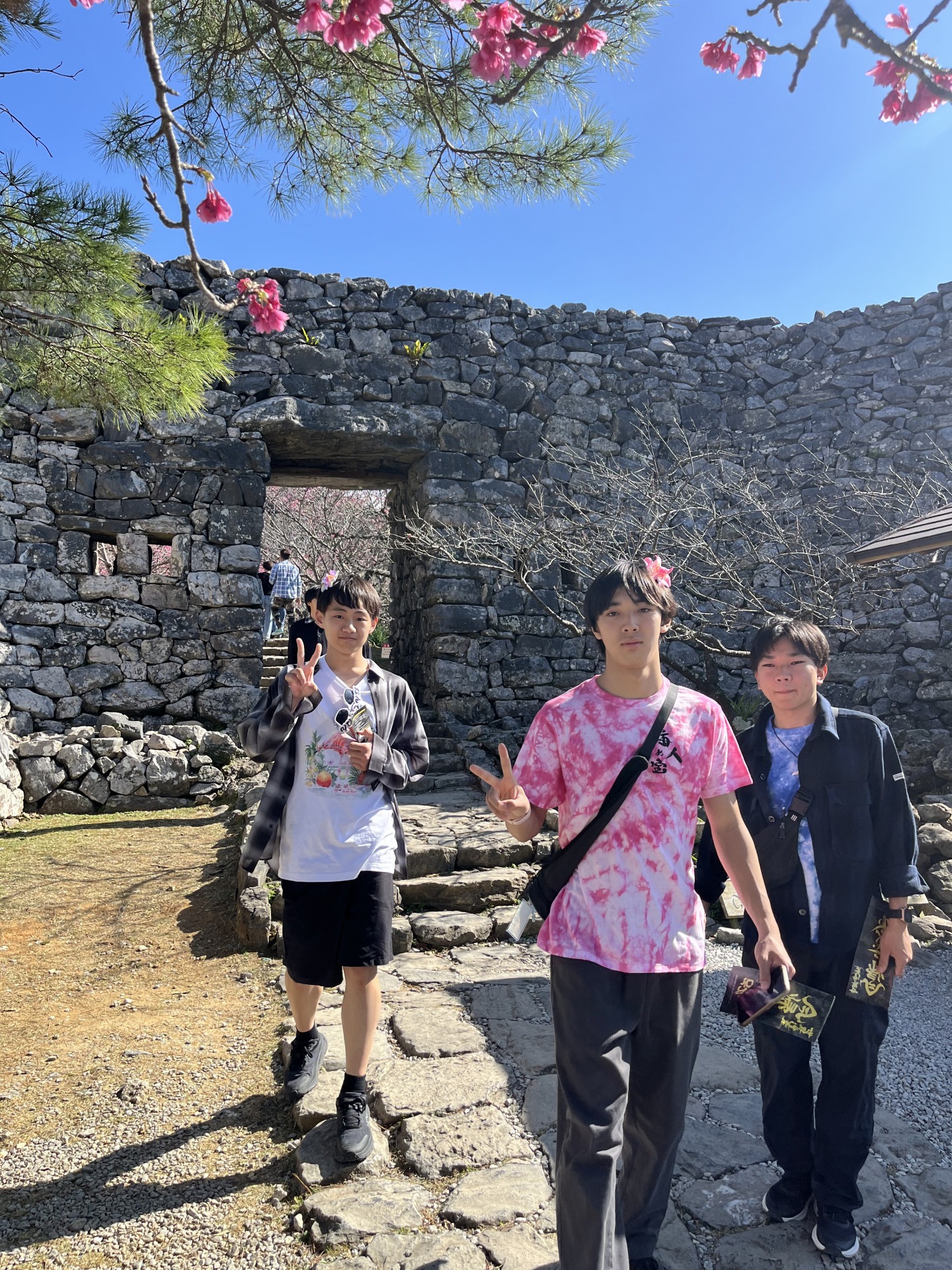 Image - 2026-02-10T152009.013